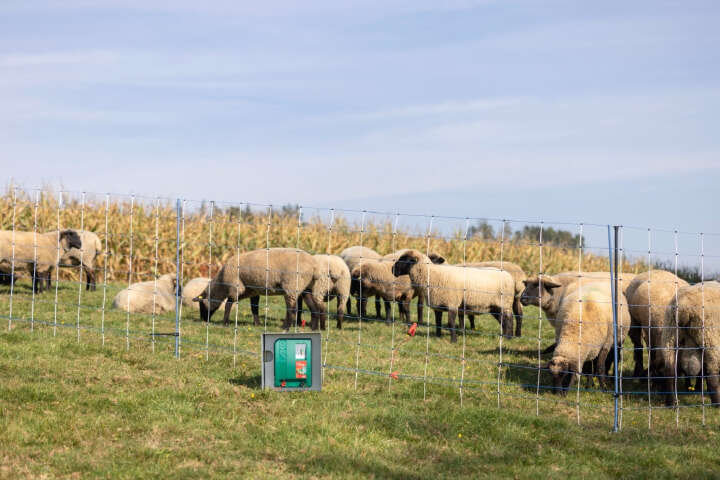 AKO Weidezaungerät Duo Power X6000 smart